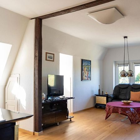 Apartment In Villa Rochlitz Εξωτερικό φωτογραφία