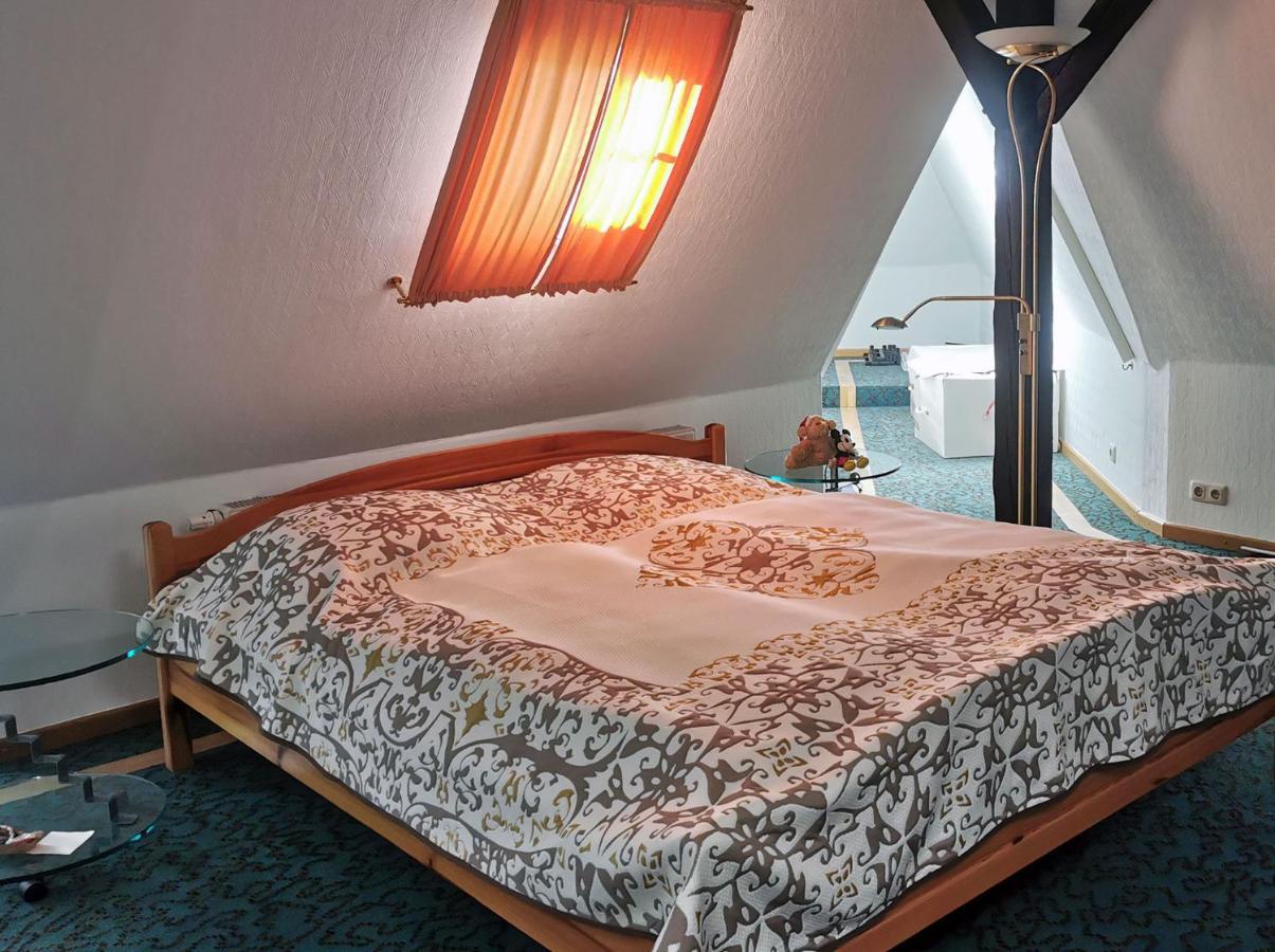 Apartment In Villa Rochlitz Εξωτερικό φωτογραφία