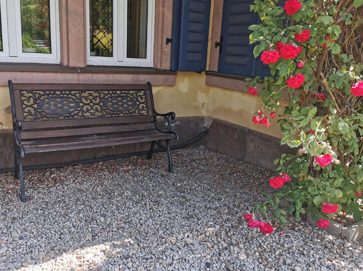 Apartment In Villa Rochlitz Εξωτερικό φωτογραφία